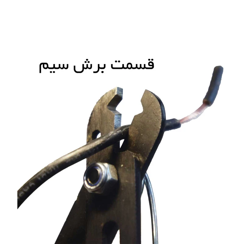 عکس شماره 2