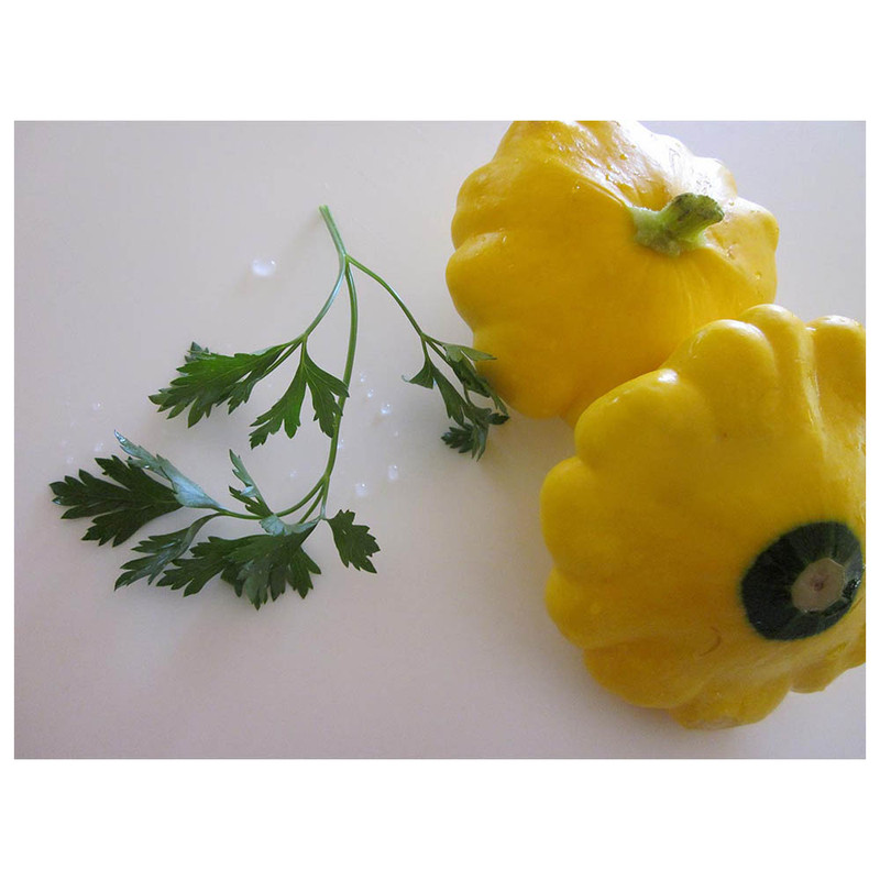 بذر کدو گوش ماهی کدو ستاره ای زرد گلس گاردن مدل GL05 بذر کدو گوش ماهی کدو ستاره ای زرد گلس گاردن مدل GL05