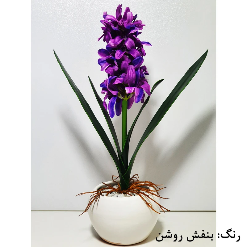 عکس شماره 2