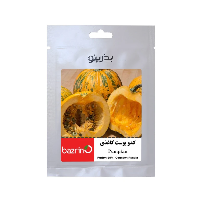 بذر کدو پوست کاغذی بذرینو کد BZNO-197