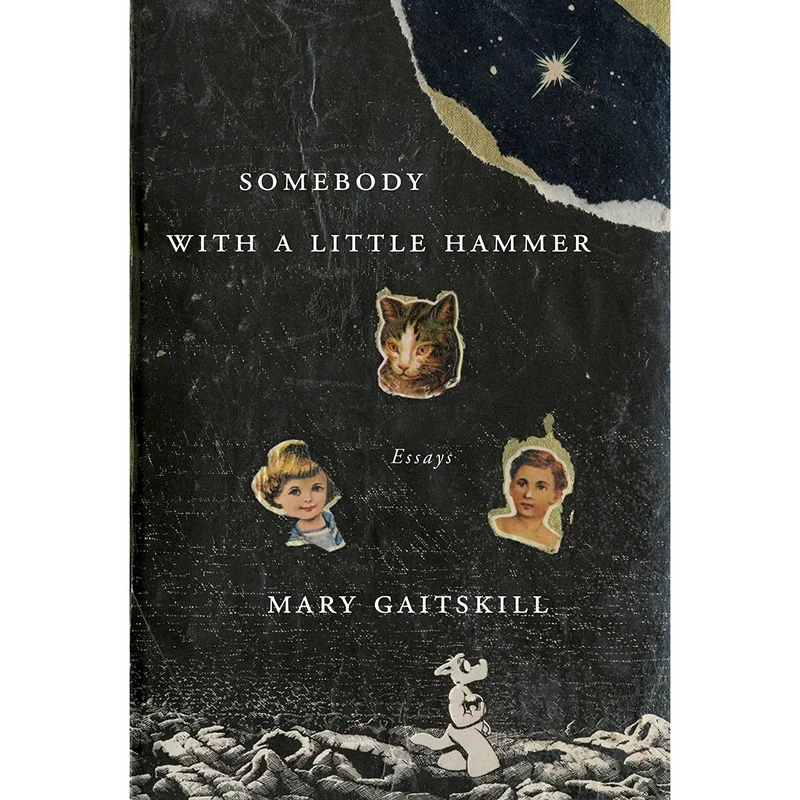 کتاب Somebody with a Little Hammer اثر Mary Gaitskill انتشارات Pantheon