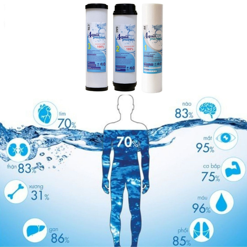فیلتر دستگاه تصفیه آب آکوا پیورست مدل RO FILTER 03 مجموعه 6 عددی