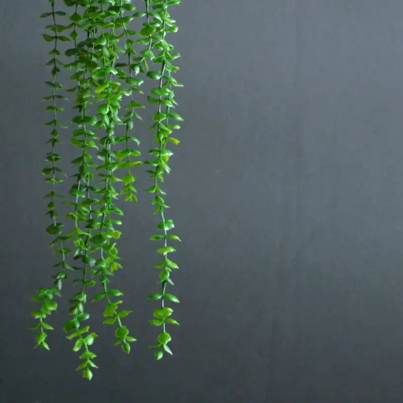 گل مصنوعی مدل شمشاد 0035m