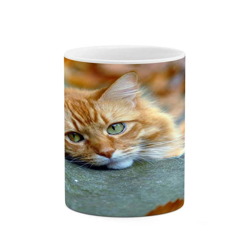 ماگ کاکتی مدل گربه کد mgh15783