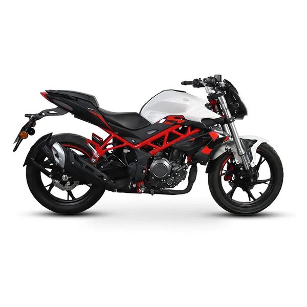 موتور سیکلت نیکران موتور مدل TNT 25N - استریت سال 1403