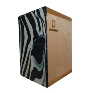 کاخن نوت بک مدل ZEBRA200