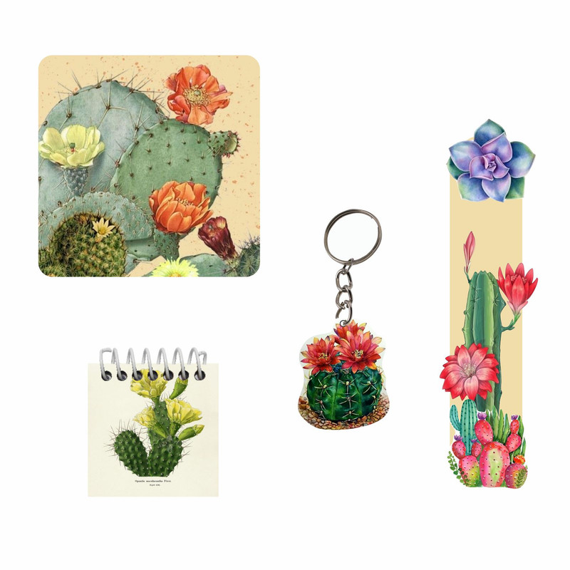 بسته لوازم التحریر مدل کاکتوس مجموعه 4 عددی