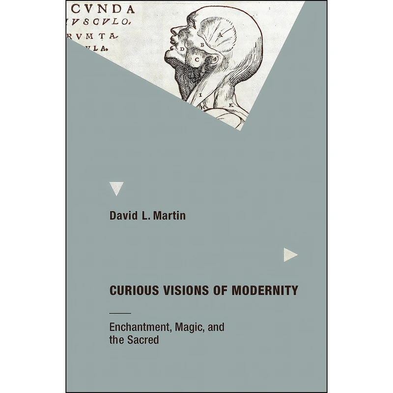 کتاب Curious Visions of Modernity اثر David L. Martin انتشارات تازه ها