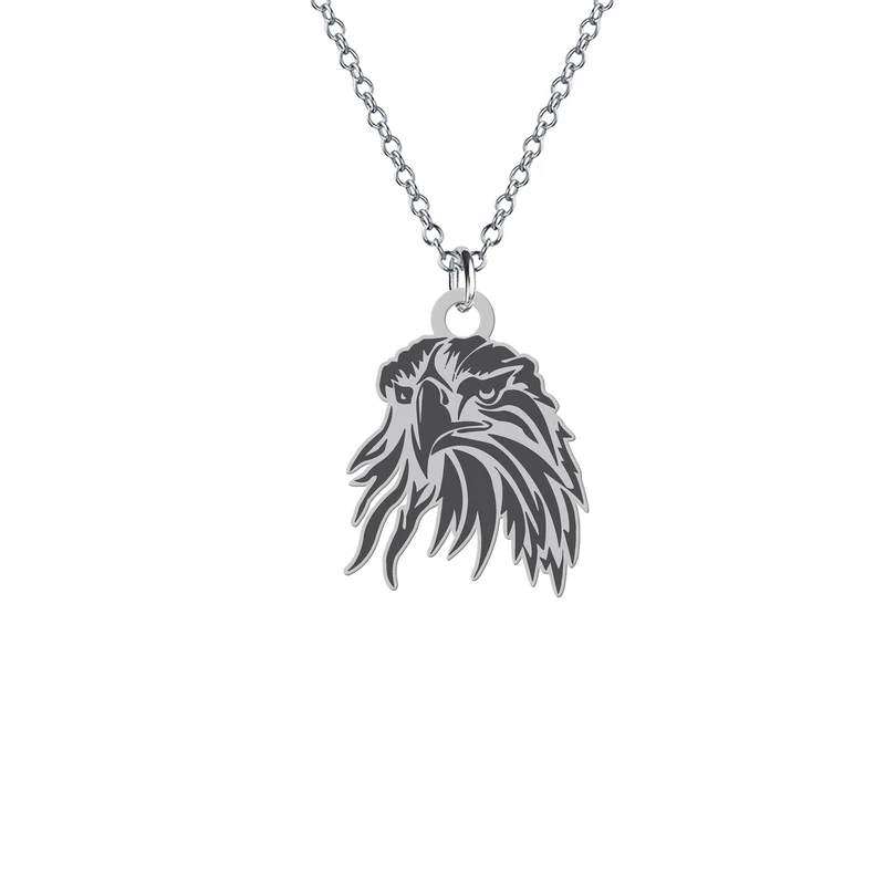 آویز تزئینی خودرو هایکا مدل رخ عقاب کد am.jh 22