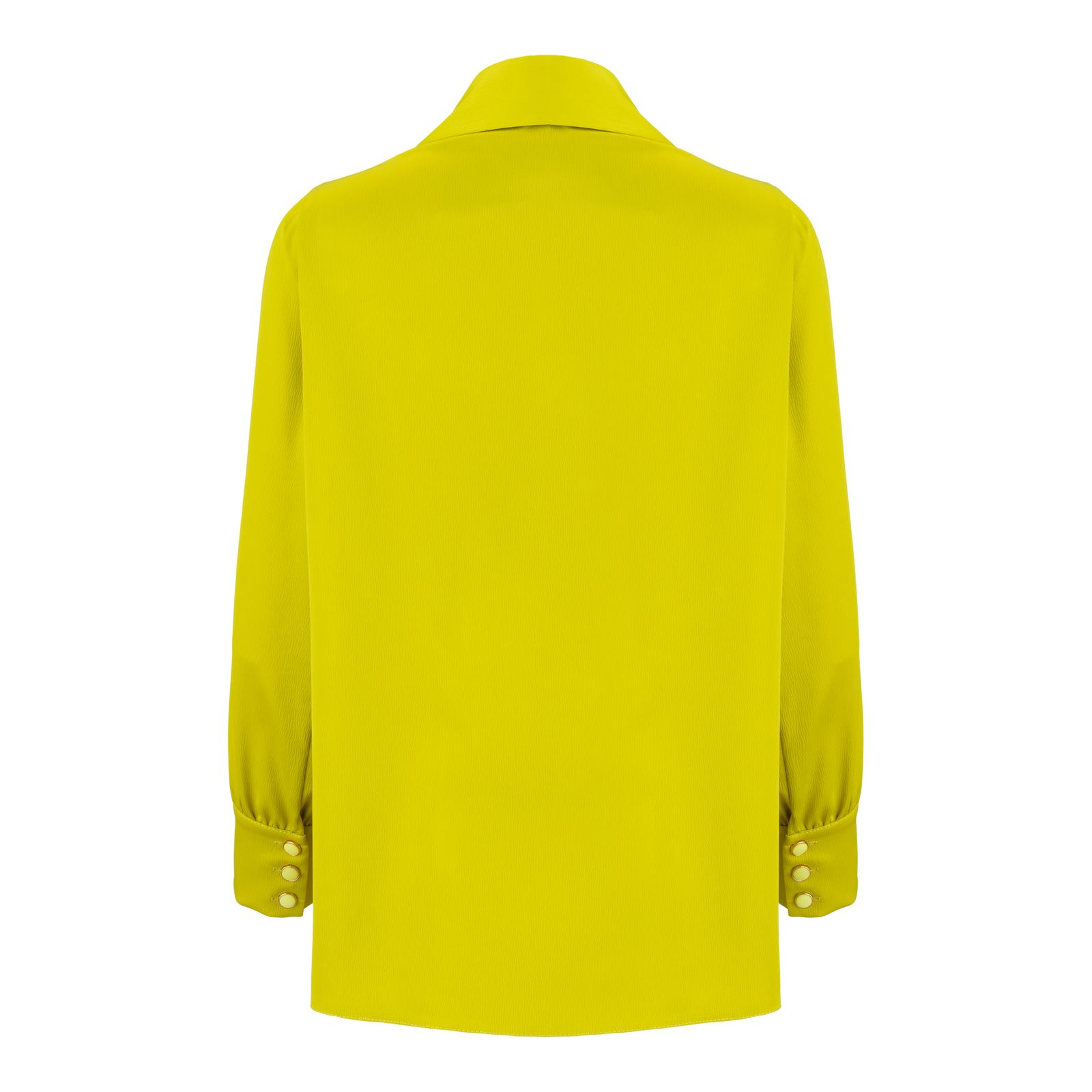 شومیز آستین بلند زنانه السانا مدل ریماس کد 172534 -  - 5