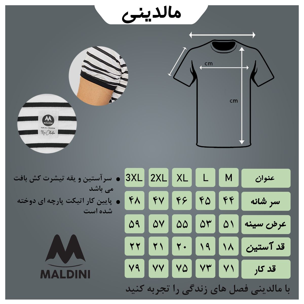 تی شرت آستین کوتاه مردانه مالدینی مدل t-424 -  - 5