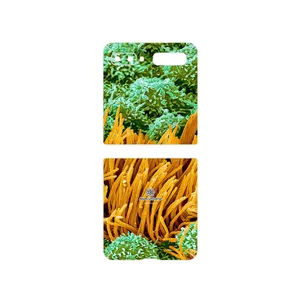 MAHOOT Atom Universe 6 Cover Sticker for Samsung Galaxy Z Flip