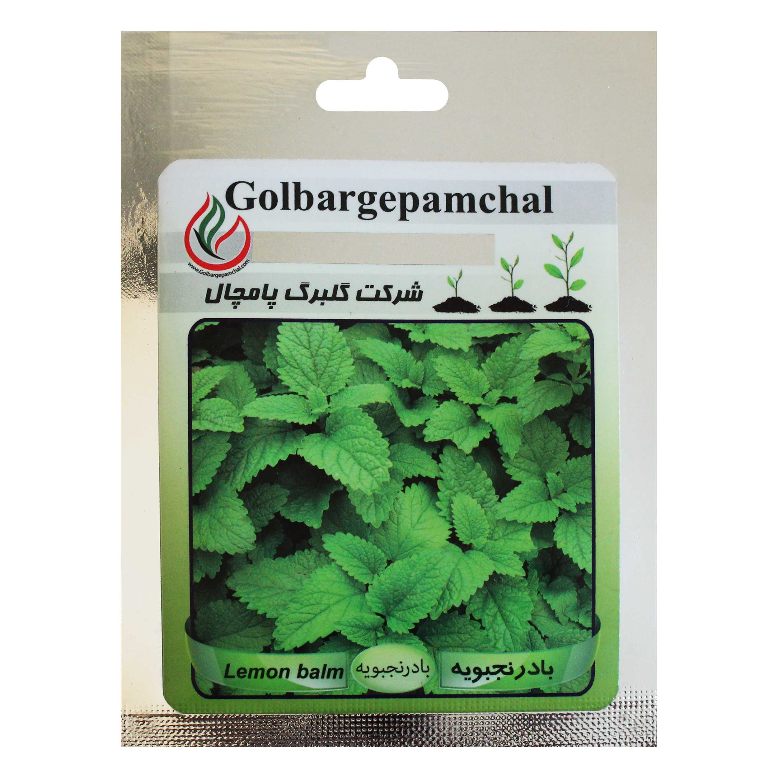 بذر بادرنجبویه گلبرگ پامچال کد GPF-141