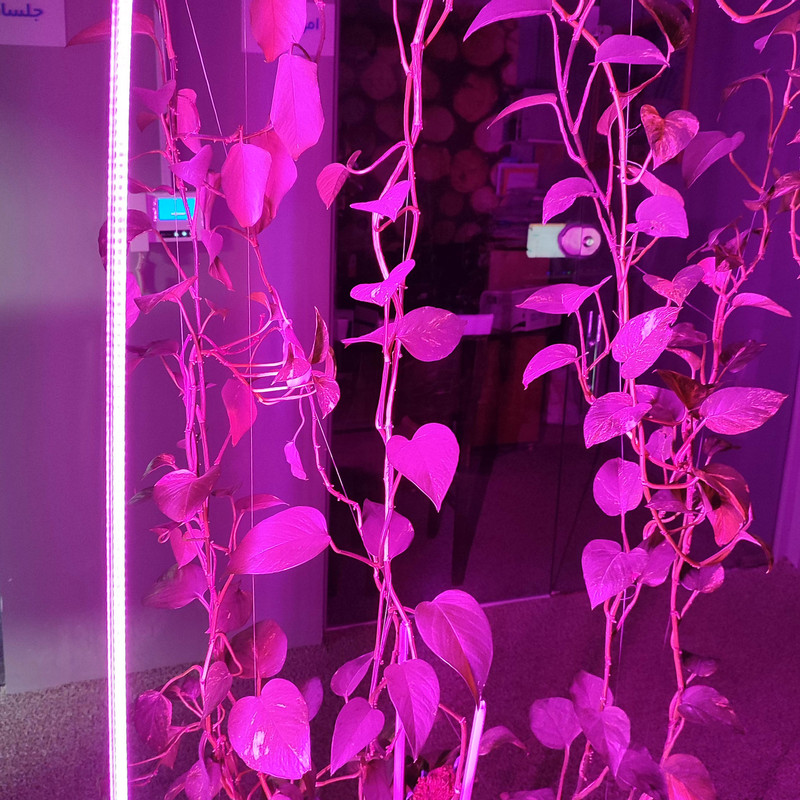 لامپ رشد گیاه 18 وات مدل فول اسپکتروم 220v طرح ریسه LED بسته 2 عددی