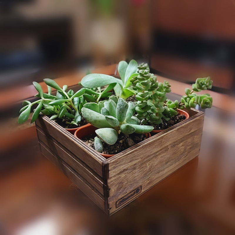 گلدان مدل 44