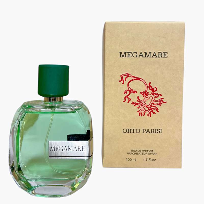 ادوپرفیوم مردانه کلپک مدل مگاماره اورتو پاریسی با رایحه خنک حجم ۱۰۰ میلی لیتر