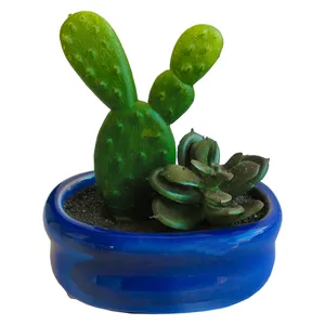 گلدان به همراه کاکتوس مصنوعی مدل  Minicactus کد M7