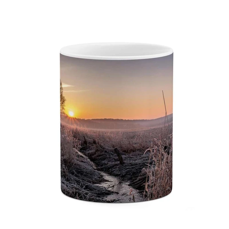 ماگ کاکتی مدل منظره کد mgh13219