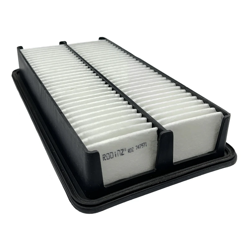 فیلتر هوا خودرو رودینز مدل 4D000-28113 مناسب برای کیا کارنیوال