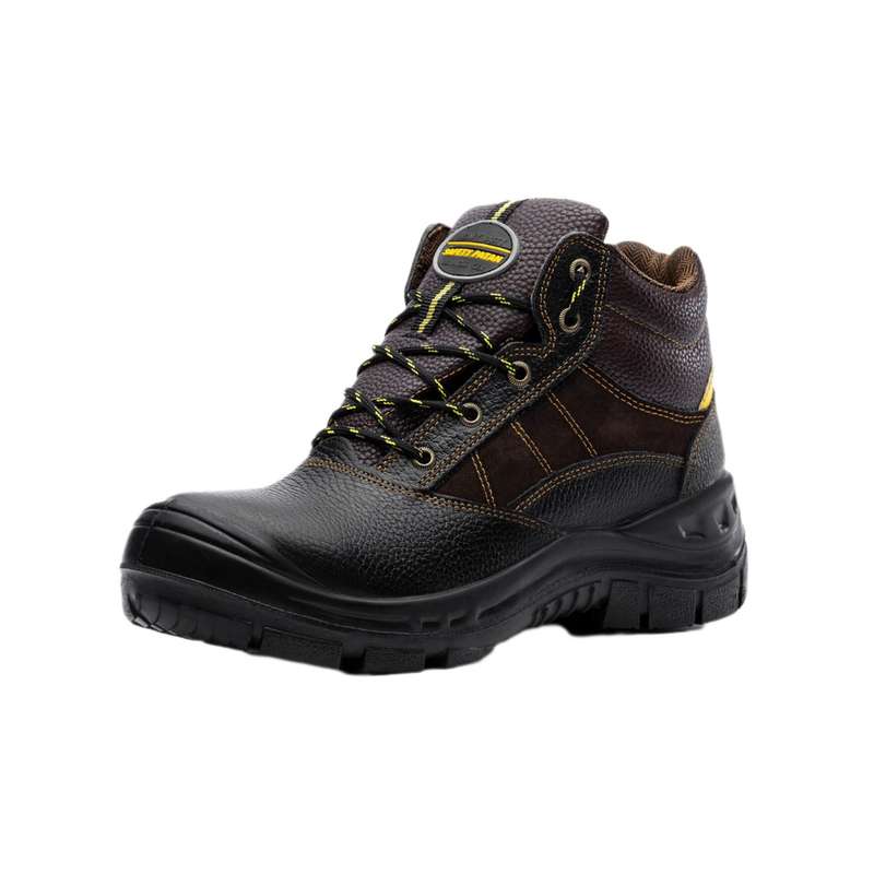 پوتین ایمنی مدل پدیده کامپوزیتی پوتین ایمنی مدل پدیده کامپوزیتی