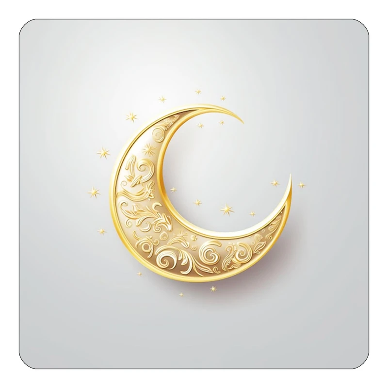 مگنت کاکتی طرح ماه و ستاره مدل mp50588