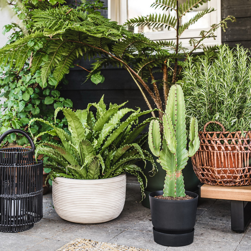 گلدان مدل GV25 گلدان مدل GV25