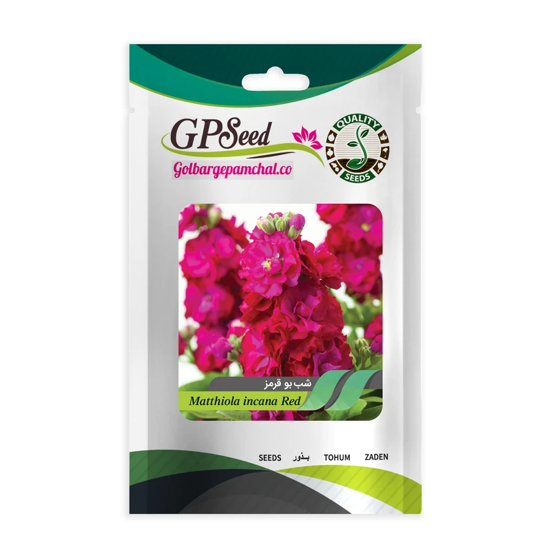 بذر گل شب بو قرمز گلبرگ پامچال کد GPF-259
