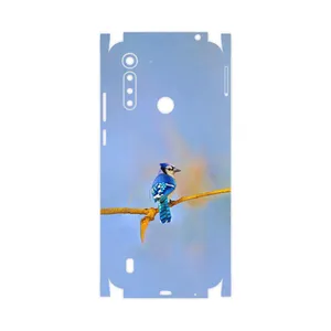MAHOOT Cyanocitta cristata-FullSkin Cover Sticker for Motorola Moto G8 Power Lite