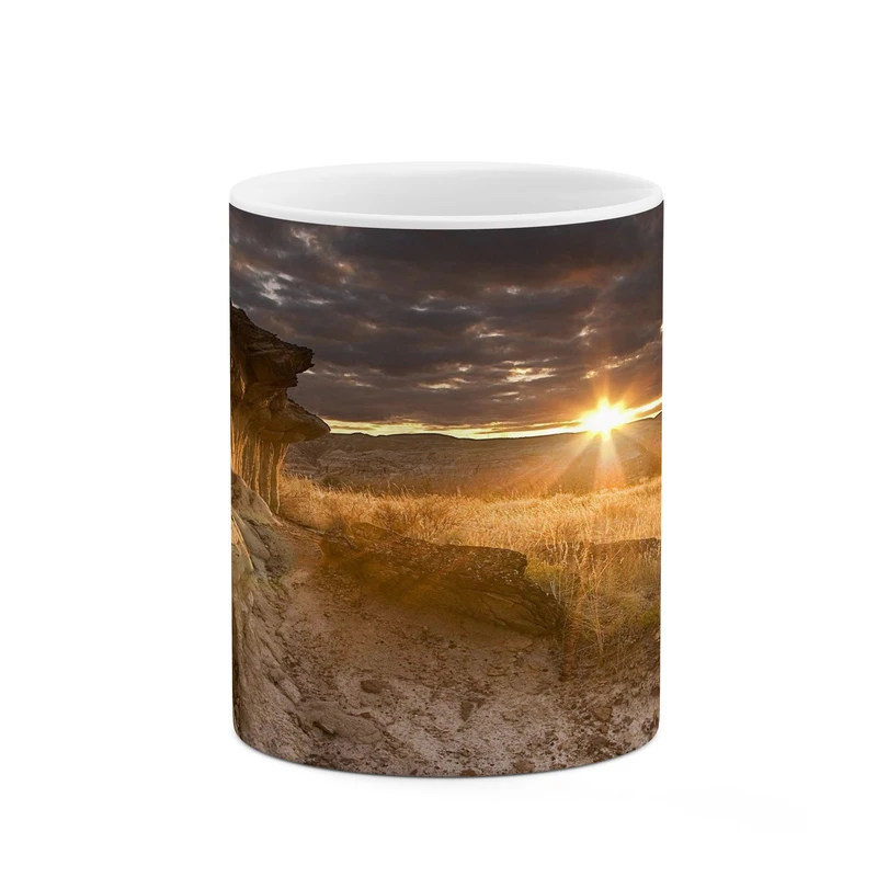 ماگ کاکتی مدل منظره کد mgh17736