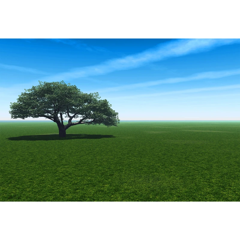 تابلو شاسی مدل درخت و سبزه و آسمان T7041