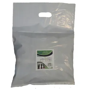 خاک سانسوریا چیا کد SAN02 حجم 2 لیتری