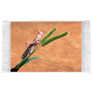 فرش ماشینی دیوارکوب اطلس آبی طرح گندم و ملخ مدل T2195 