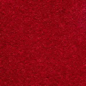 موکت ظریف مصور مدل هرمس 5581