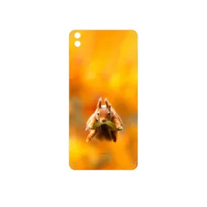 MAHOOT Squirrel Cover Sticker for HTC Desire 816