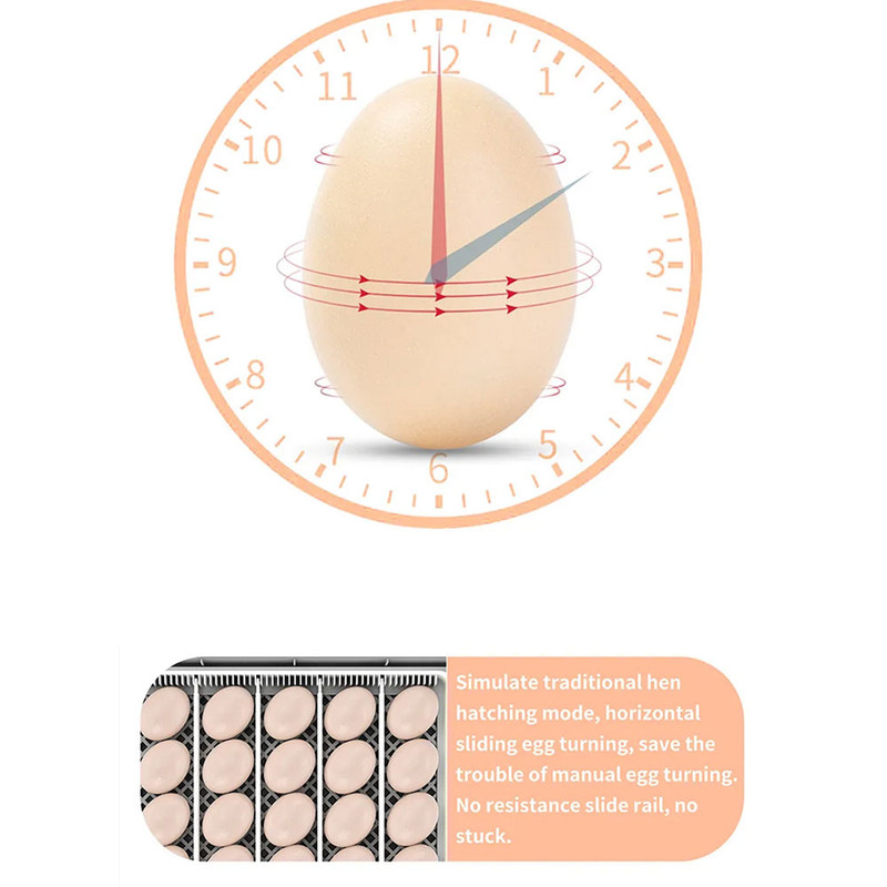 دستگاه جوجه کشی مدل خانگی ظرفیت 20 تایی مدل HHD