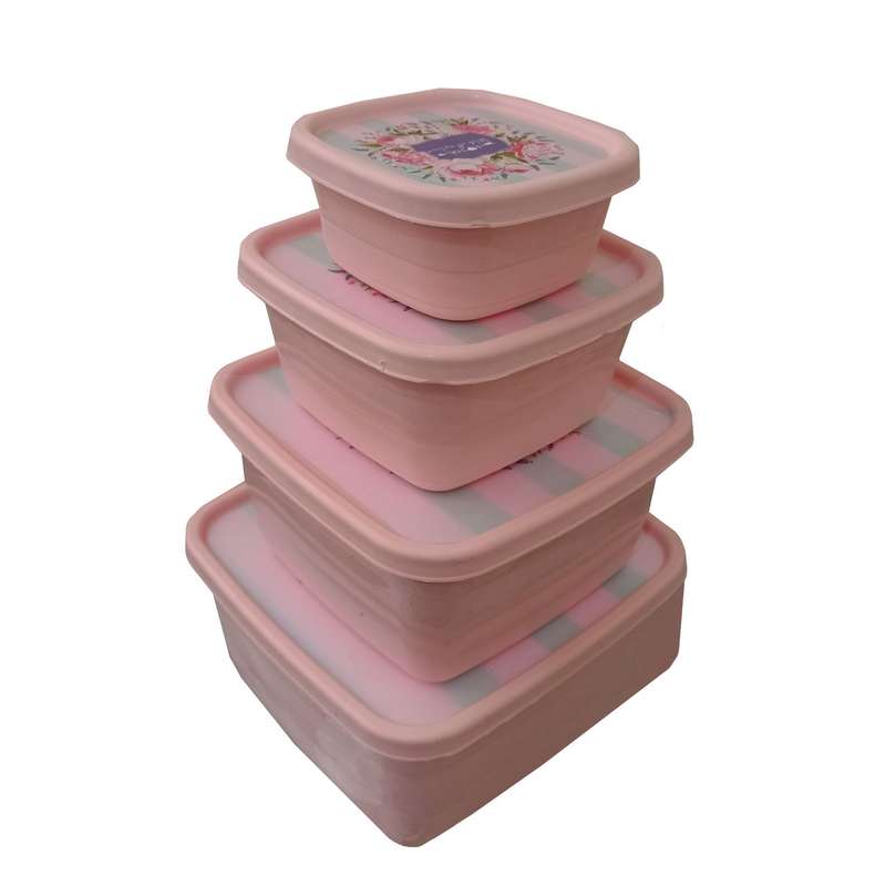 ظرف نگهدارنده مدل ms-20 بسته 4 عددی