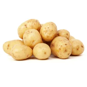 سیب زمینی درجه یک - 5 کیلوگرم
