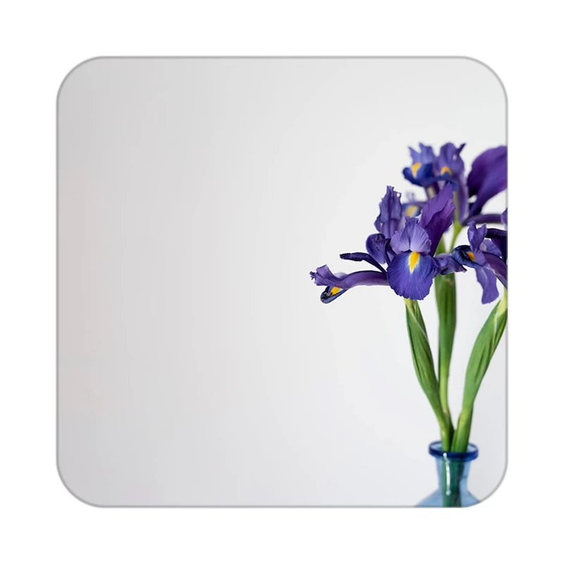 زیر لیوانی کاکتی طرح گل مدل mp18855