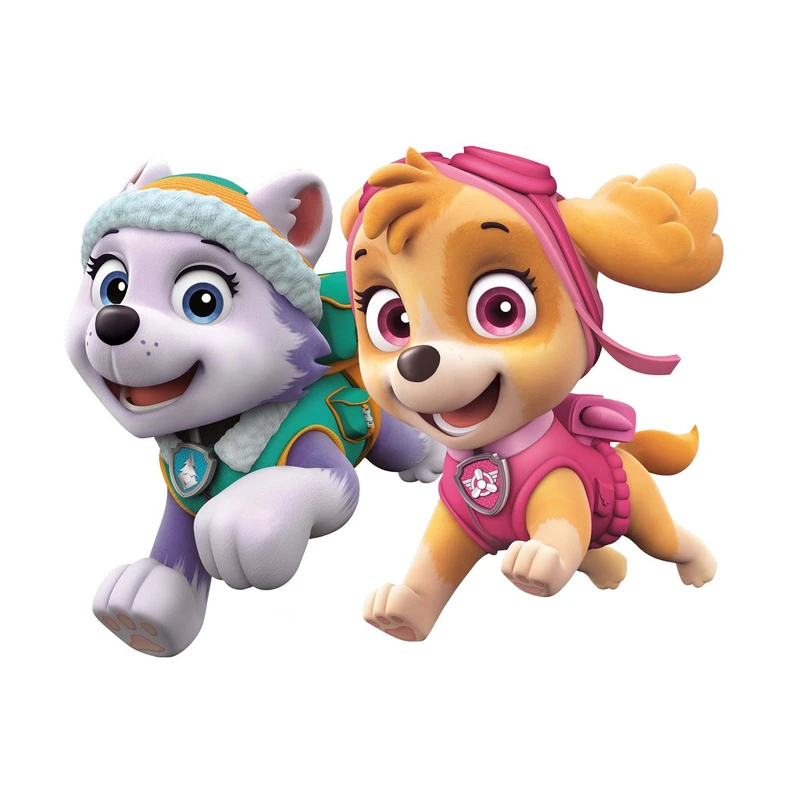 استند تولد طرح اسکای کد 504