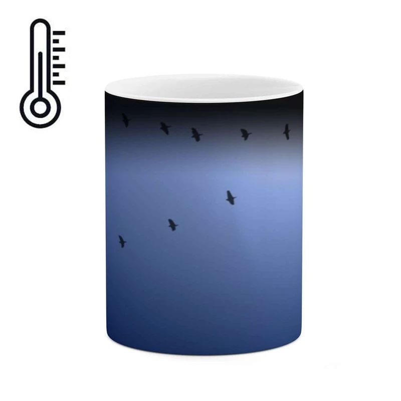 ماگ حرارتی کاکتی مدل فانتزی کد  mgh12897