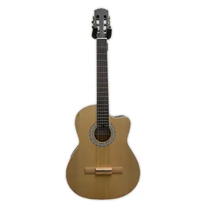 گیتار مدل f 132