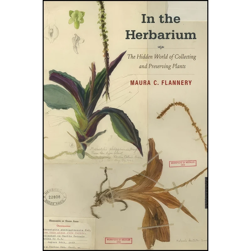 کتاب In the Herbarium اثر Maura C. Flannery انتشارات Yale University Press
