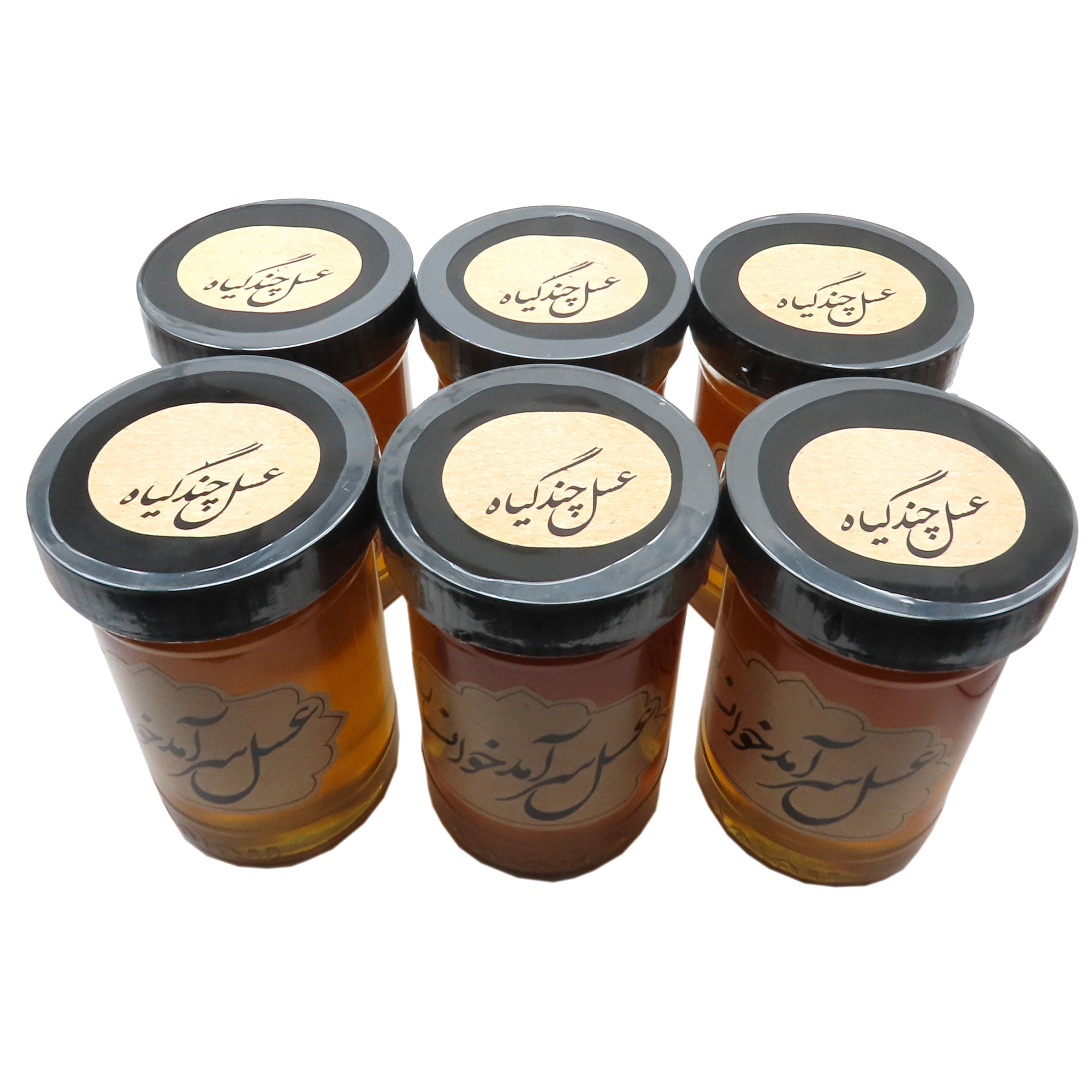 عسل طبیعی چند گیاه سرآمد - 900 گرم بسته 6 عددی