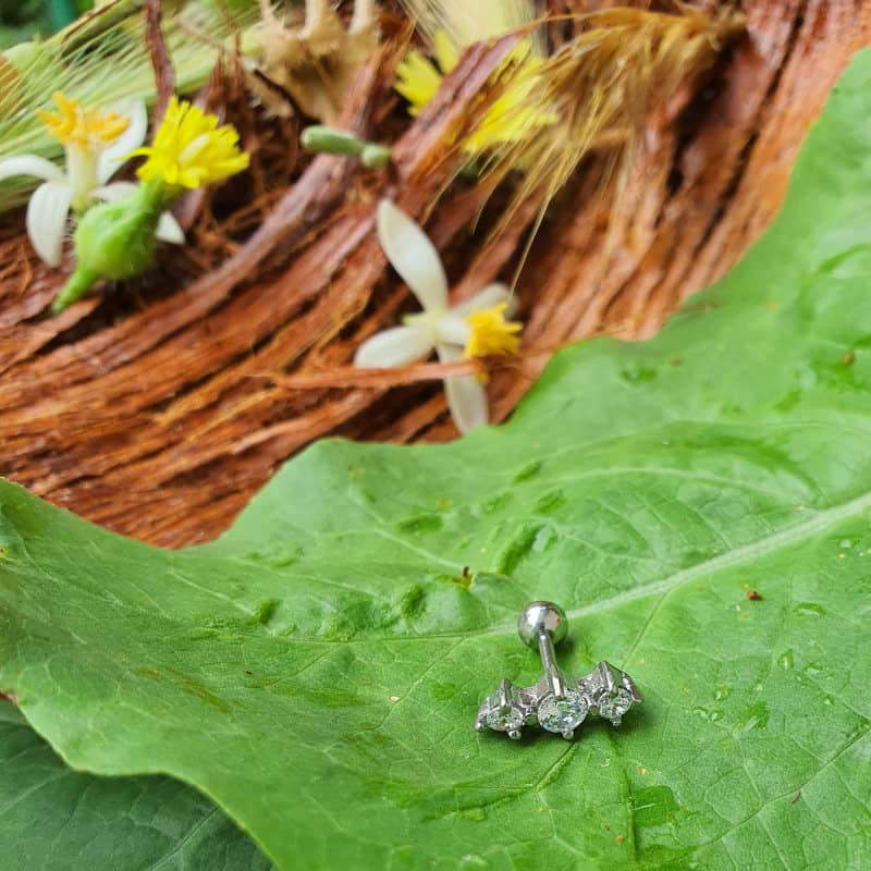 پیرسینگ گوش زنانه پایتخت مدل PS239 پیرسینگ گوش زنانه پایتخت مدل PS239