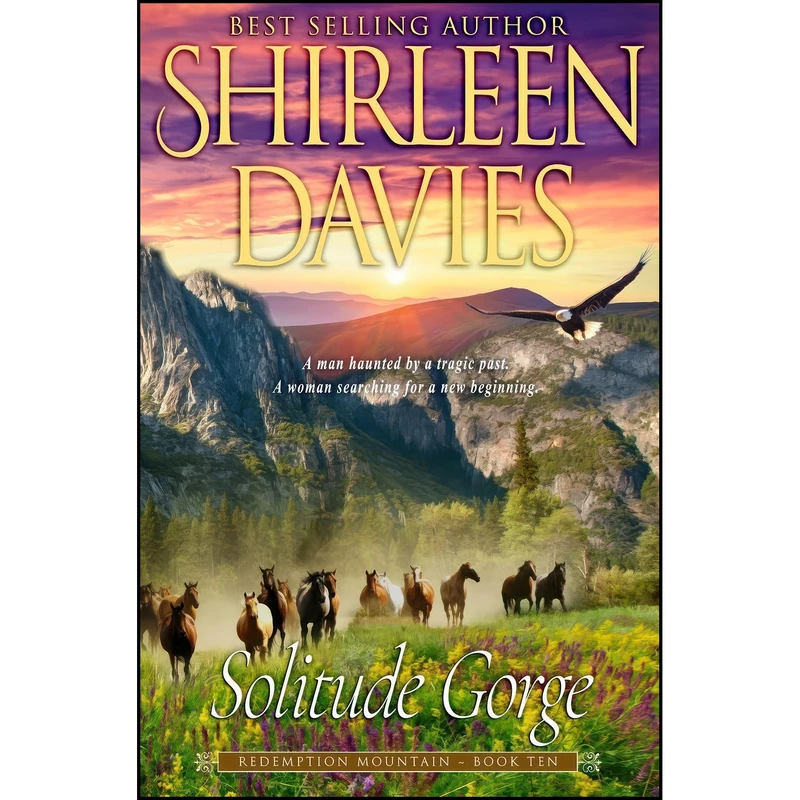 کتاب Solitude Gorge  اثر Shirleen Davies انتشارات تازه ها