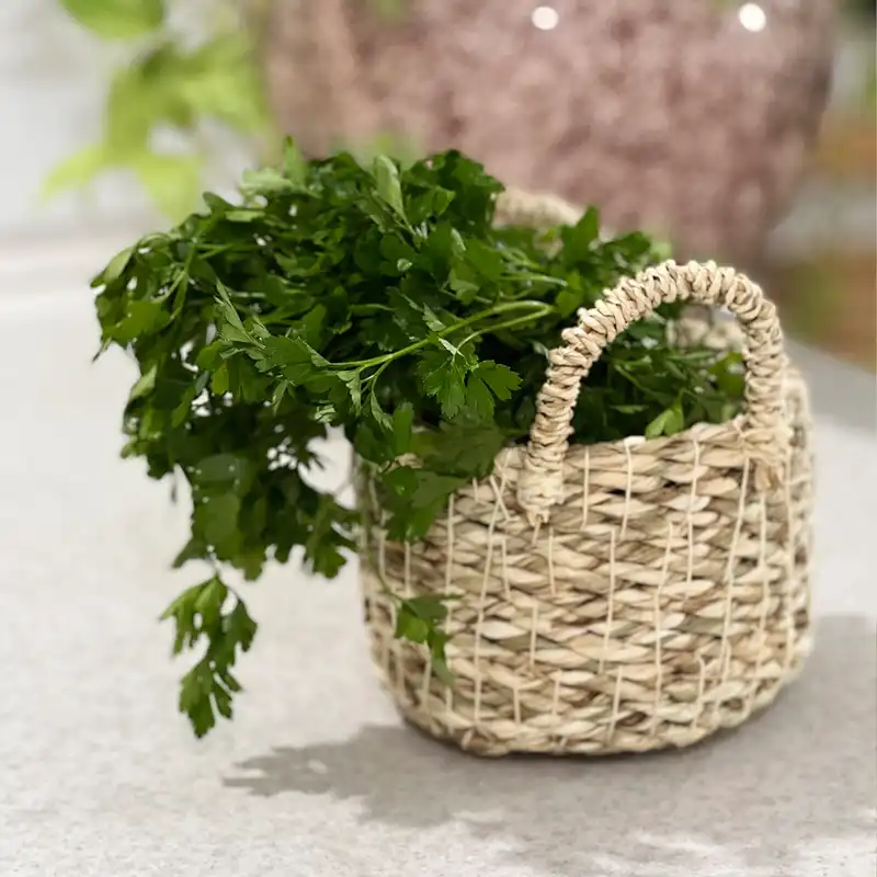 سبد حصیری مدل استوانه دسته دار