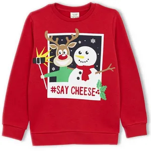 سویشرت پسرانه دفکتو مدل Y7139A6CWRD62