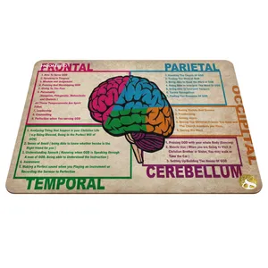 Hoomero Anatomy Medicine A5601 Mousepad