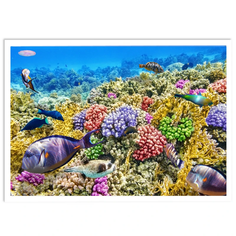 تابلو نوری بکلیت طرح طبیعت ماهی و دریا مدل W-S1290