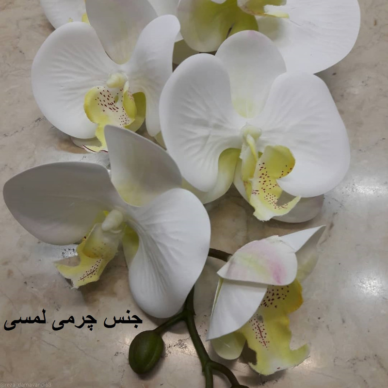 گل مصنوعی مدل ارکیده touch گل مصنوعی مدل ارکیده touch